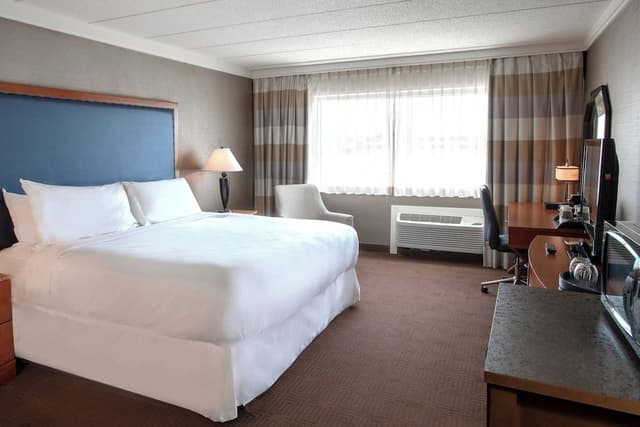 Room, 1 King Bed