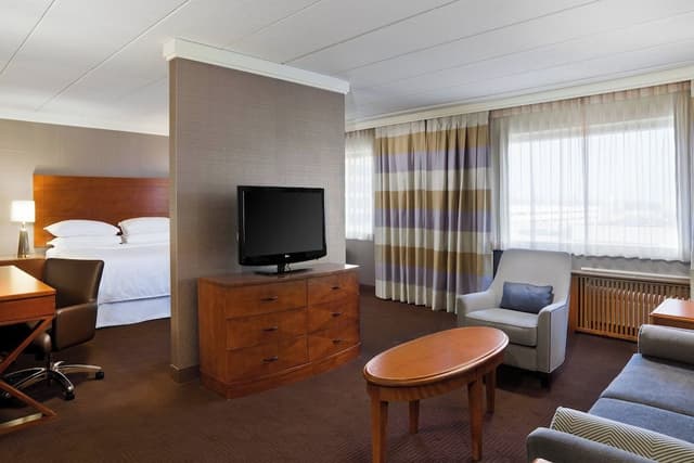 Suite, 1 King Bed with Sofa bed