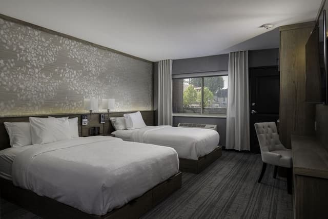 Standard Room, 2 Double Beds