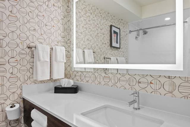 Suite, 1 King Bed (Canadian Skyline View)