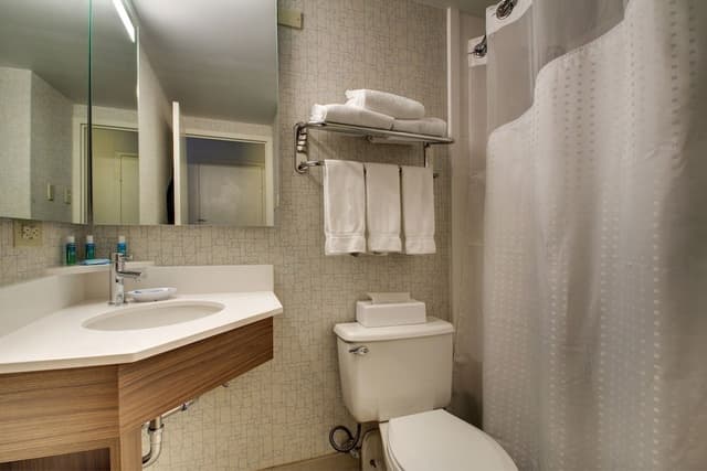 Suite, 1 Bedroom