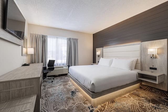 Room, 1 King Bed, Non Smoking