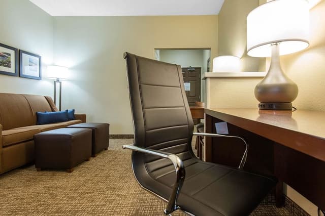 Suite, 1 King Bed with Sofa bed