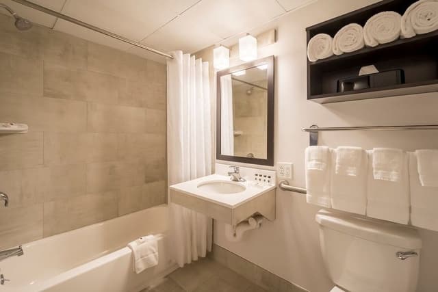 Suite, 1 Bedroom, Non Smoking