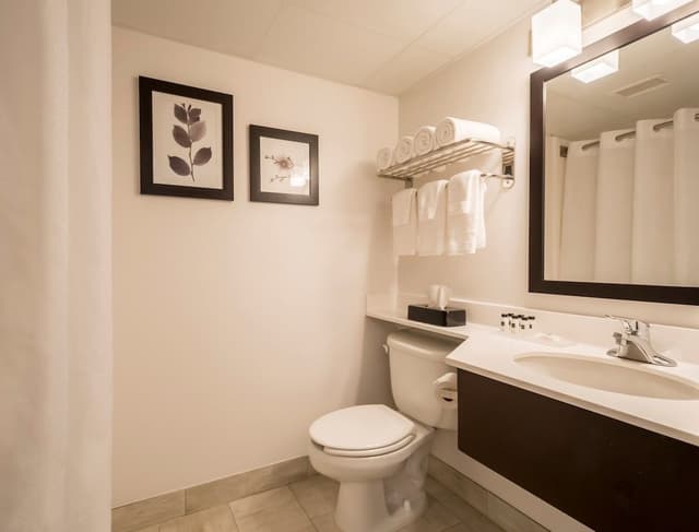Suite, 1 Bedroom, Non Smoking