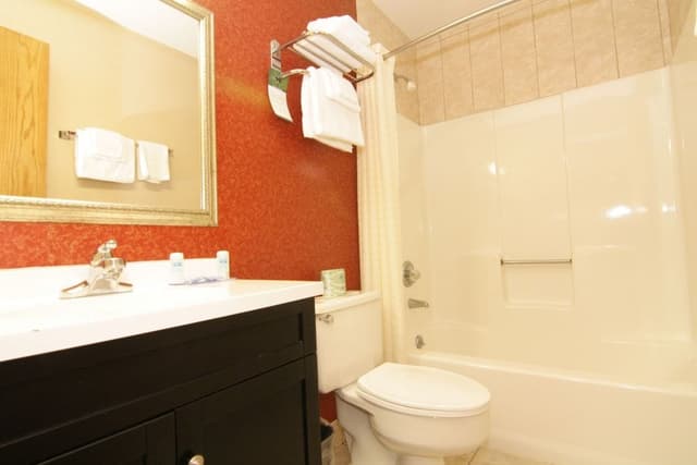 Standard Room, 2 Double Beds, Non Smoking