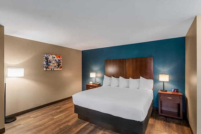 Suite, 1 King Bed with Sofa bed, Non Smoking