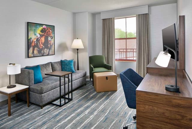 KING DELUXE SUITE WITH SOFABED AND BALCONY