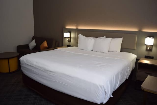 Suite, 1 King Bed with Sofa bed, Non Smoking (Upgrade)