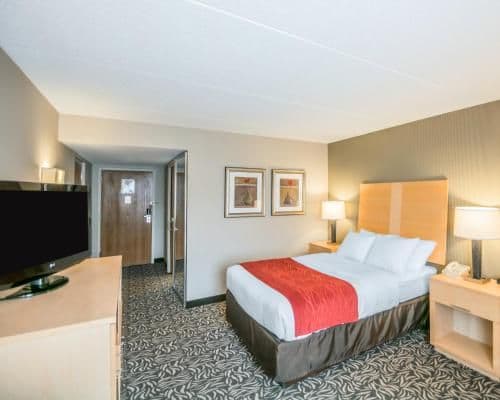 1 Double Bed, Nonsmoking, Accessible