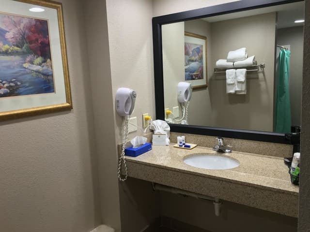 Standard Room, 1 King Bed, Accessible, Refrigerator & Microwave