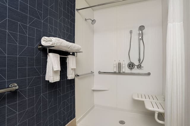 Room, 1 King Bed, Accessible (Mobility, Roll-In Shower)