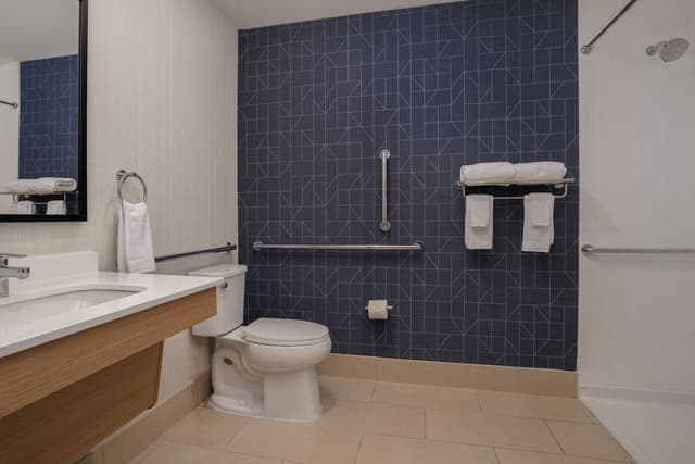 Room, 1 King Bed, Accessible (Mobility, Roll-In Shower)