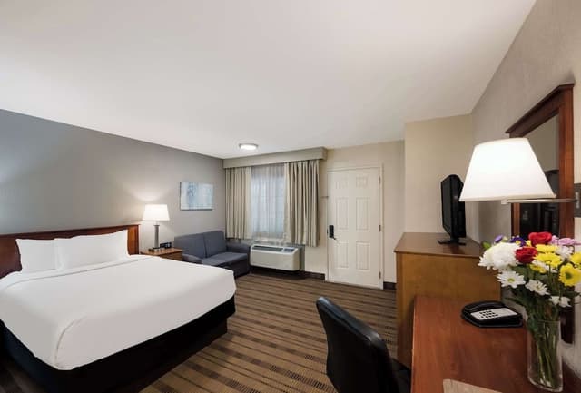 Standard Room, 1 King Bed, Non Smoking, Refrigerator
