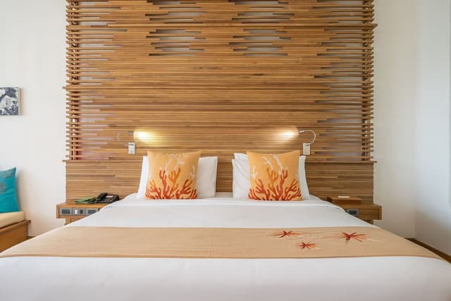 Deluxe Premier Room