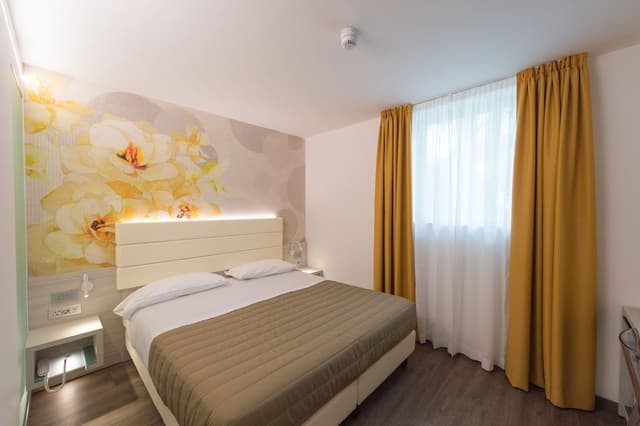Comfort Double Room (SPA Access Included)
