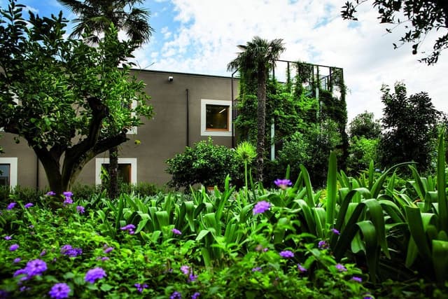 Superior Double Room, Balcony
