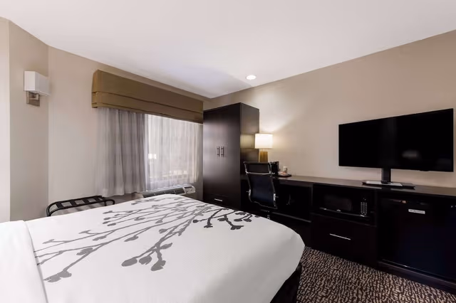 Room, 1 Queen Bed, Accessible