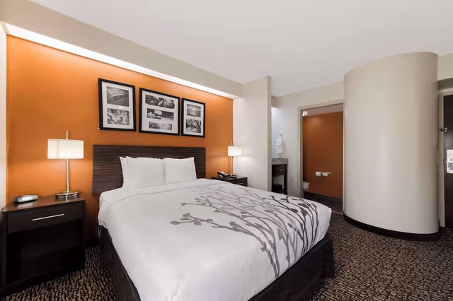 Standard Room, 1 Queen Bed, Non Smoking