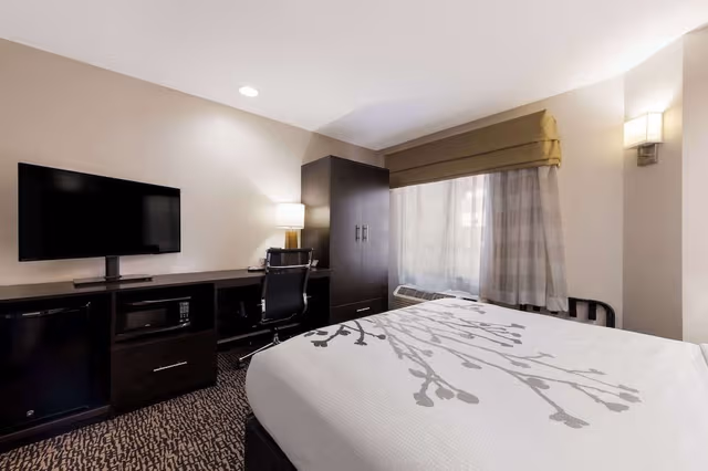 Room, 1 Queen Bed, Accessible