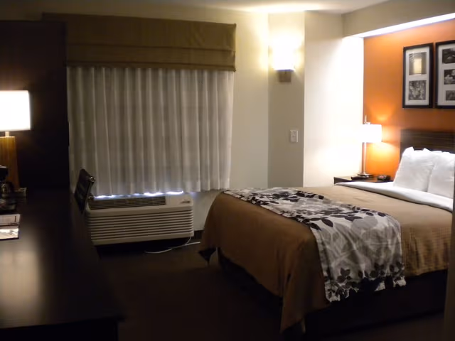 Room, 1 Queen Bed, Accessible