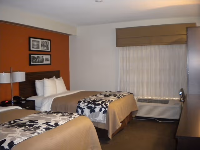 Standard Room, 2 Double Beds