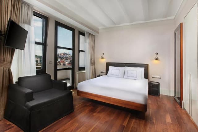 Penthouse Room with Terrace
