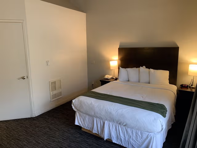 Room, 1 Queen Bed
