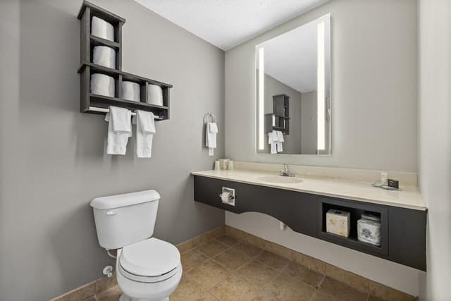 Suite, 1 Bedroom