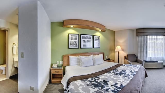 Standard Room, 1 King Bed, Non Smoking