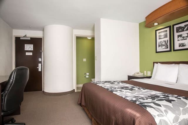 Standard Room, 1 King Bed, Non Smoking