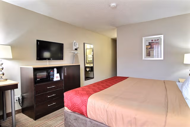 Standard Room, 1 King Bed, Non Smoking