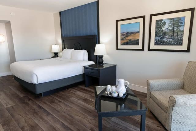Premium Suite, 1 King Bed