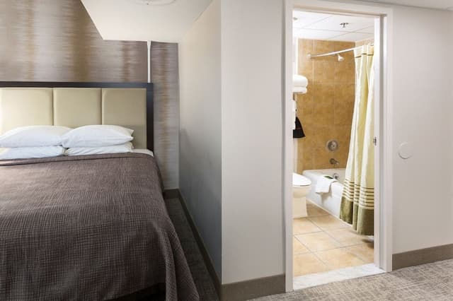 Standard Room, 1 King Bed, City View
