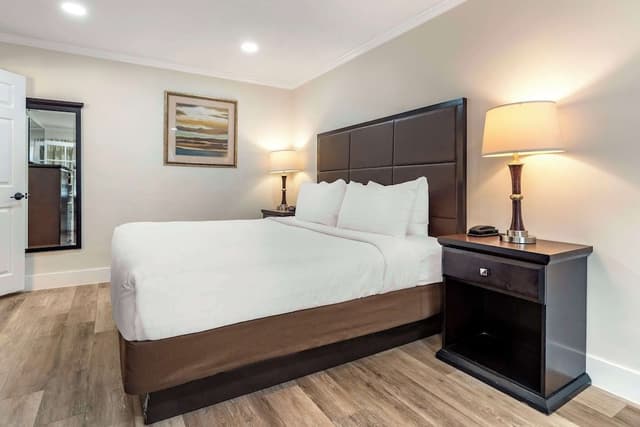 Suite, 1 King Bed, Non Smoking, Refrigerator