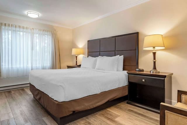 Standard Room, 1 King Bed, Non Smoking, Refrigerator