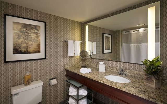 Studio Suite, 1 King Bed