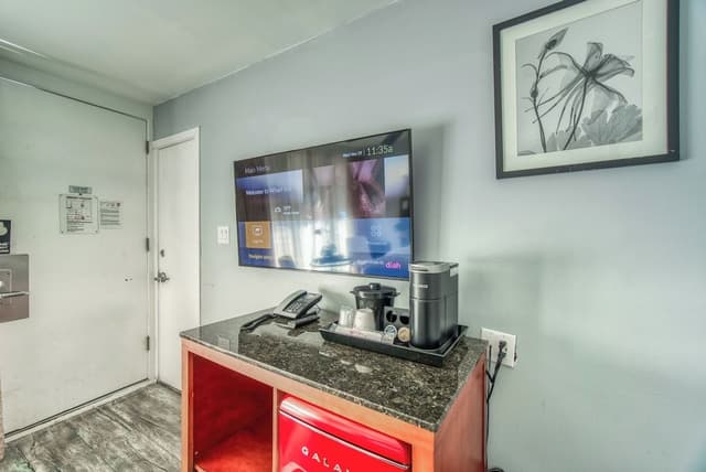 Run of House 1-Bed