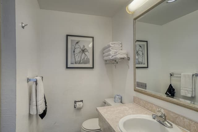 Run of House 1-Bed