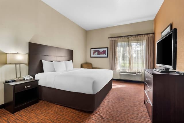 Suite, 1 King Bed