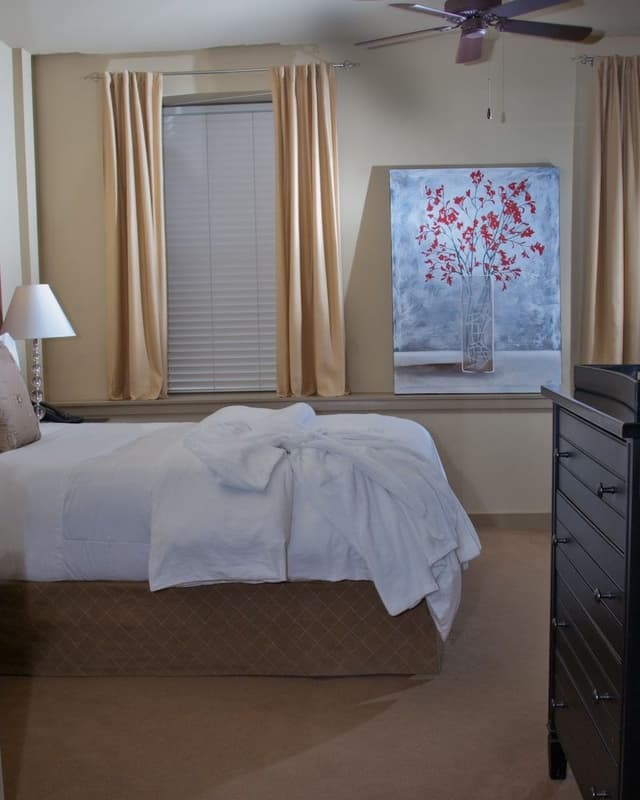 Studio, 1 Queen Bed