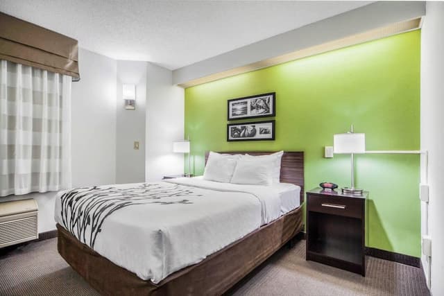 Standard Room, 1 Queen Bed, Accessible, Non Smoking