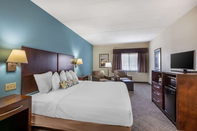 Standard Room, 1 King Bed, Non Smoking, Refrigerator & Microwave