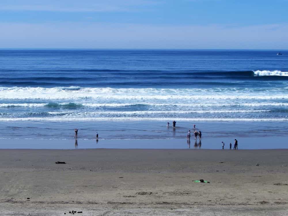 Driftwood Shores Resort And Conference Center