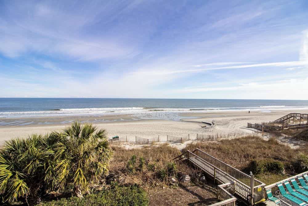 Ocean Forest Colony