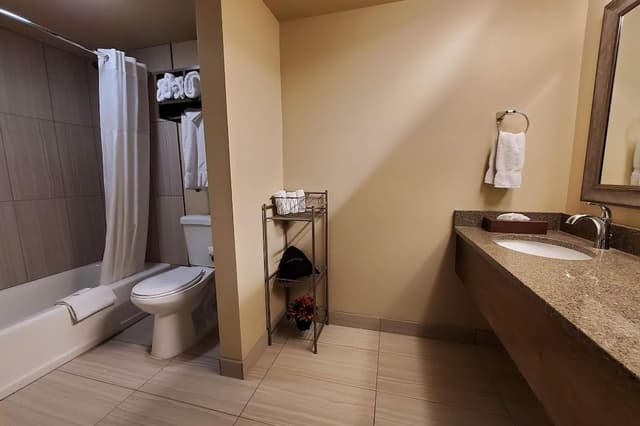 Premier Suite, 1 King Bed, Non Smoking