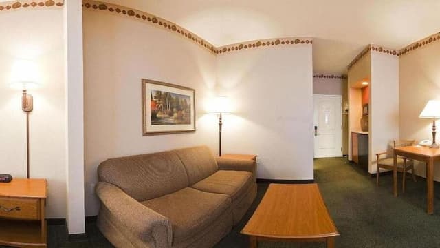 Suite, 1 King Bed with Sofa bed