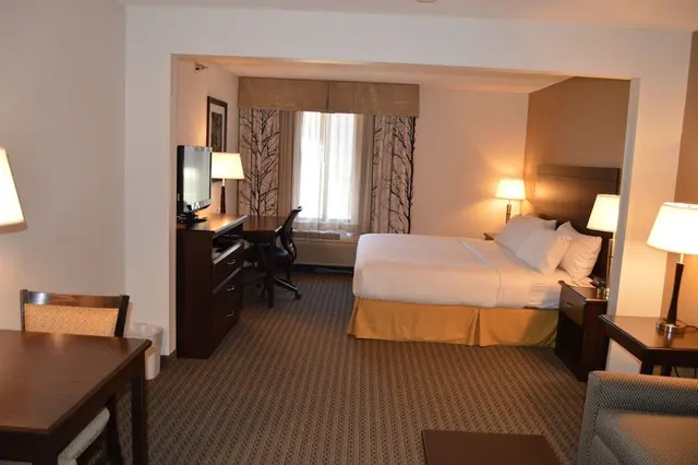 Suite, 1 King Bed with Sofa bed
