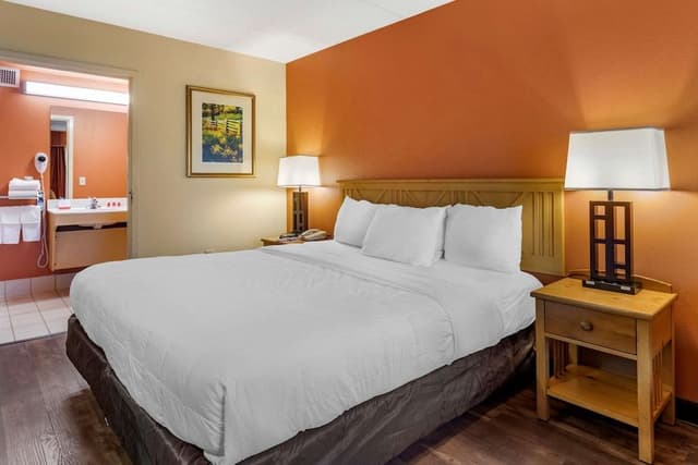 Room, 1 King Bed, Accessible, Non Smoking