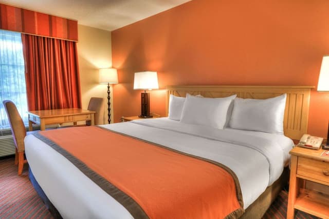 Standard Room, 1 King Bed, Non Smoking